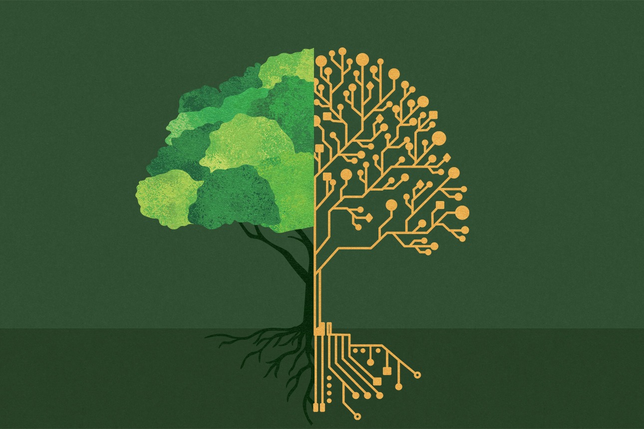 The Hidden Energy Cost of Streaming and Data.